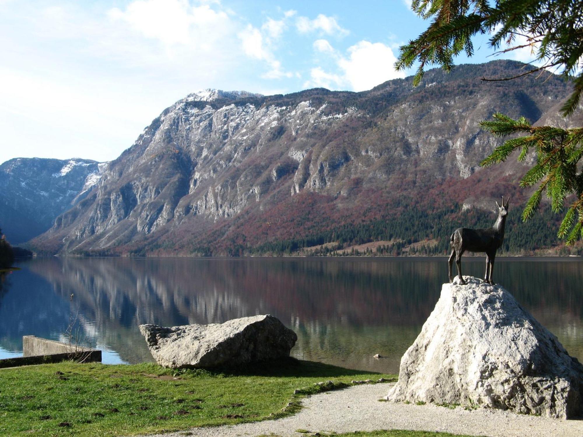 Apartments Na Vasi Bohinji-tó Kültér fotó